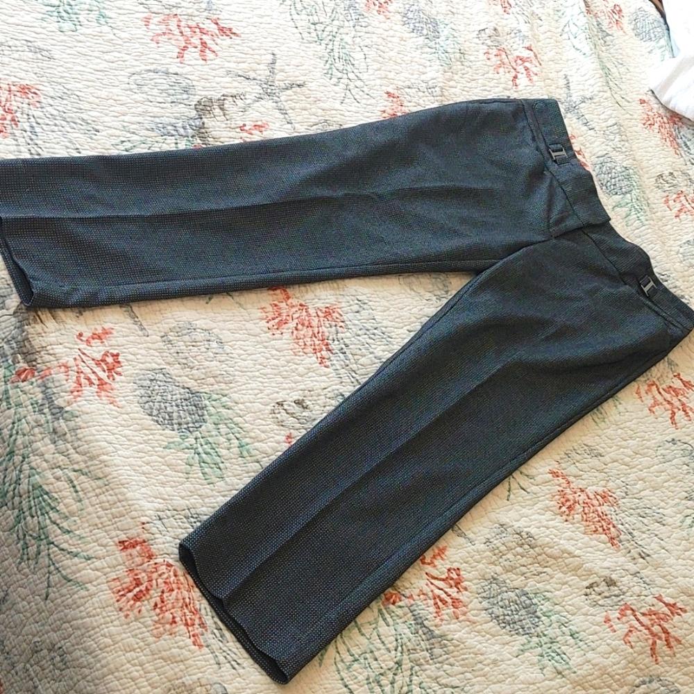 Limited Navy pants